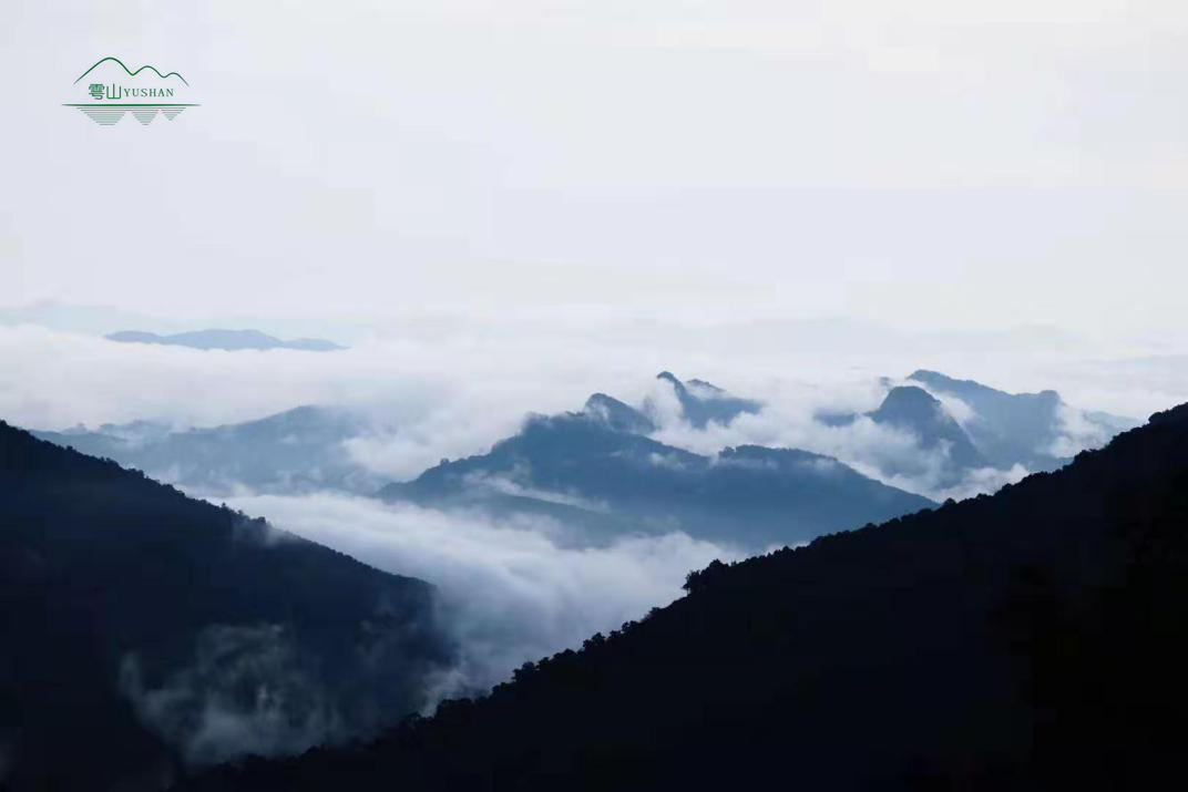 注:读者误认为雩山山脉为于都县雩山,于都属于九连山山脉,此于都县雩